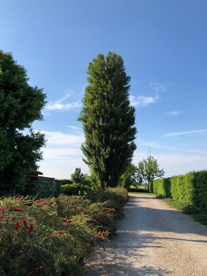Via D' Este 8 Gualtieri Zewnętrze zdjęcie